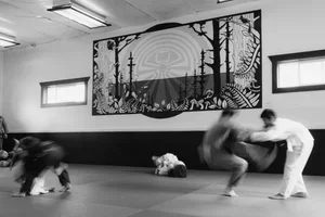 Adamson Bro's Jiu Jitsu facility image