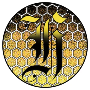 Hive Brazilian Jiu Jitsu facility image