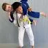 Pacific Wonderland Jiu Jitsu facility image