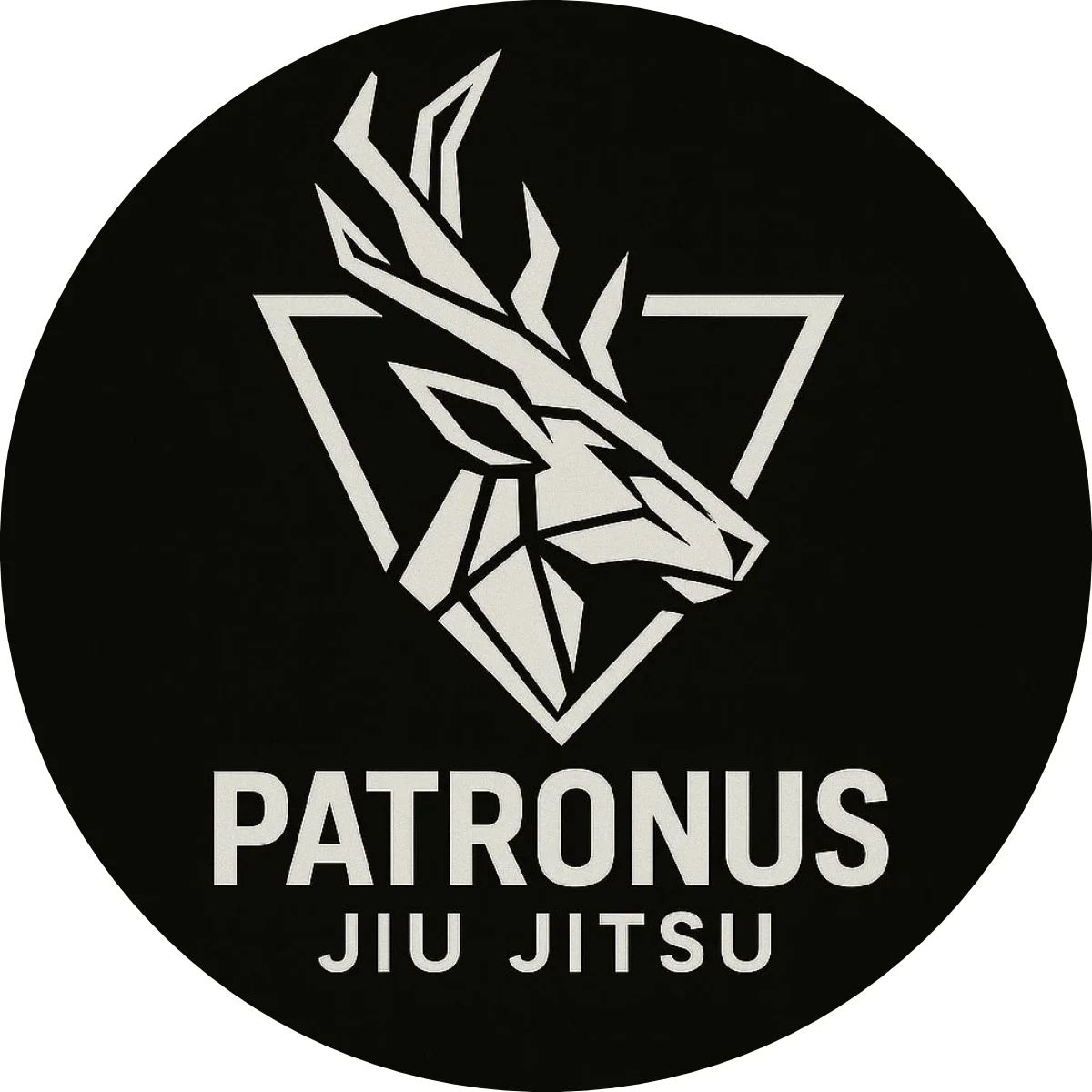Patronus Jiu Jitsu facility image