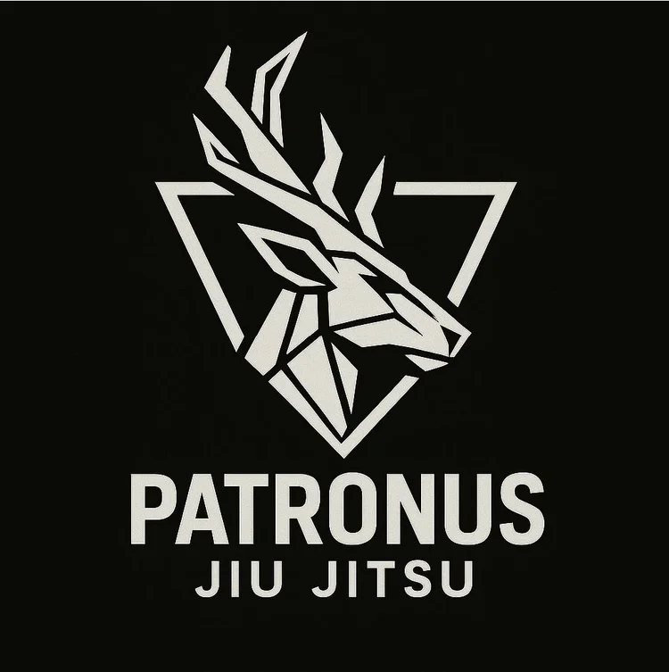 Patronus Jiu Jitsu facility image