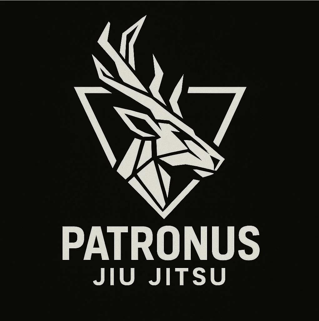 Patronus Jiu Jitsu facility image