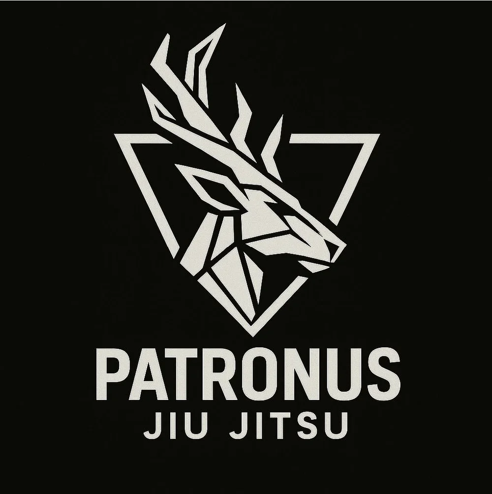 Patronus Jiu Jitsu facility image