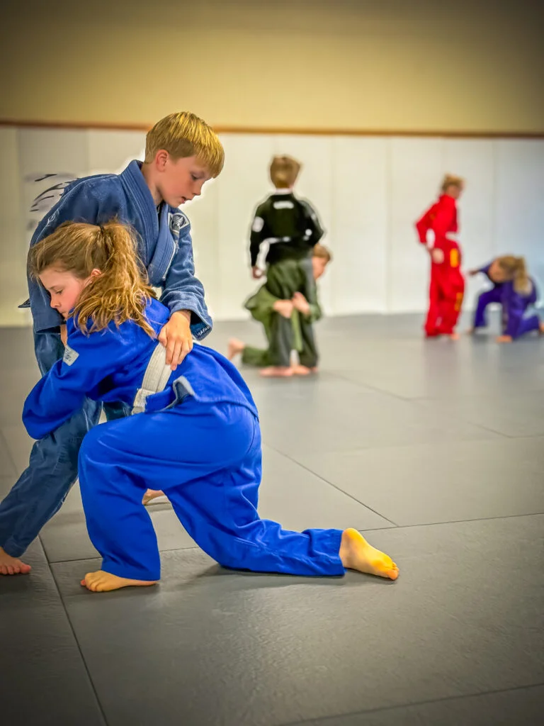 Union Jiu Jitsu facility image