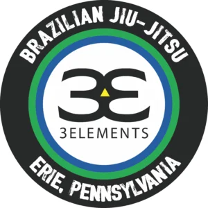 3 Elements BJJ and MMA facility image