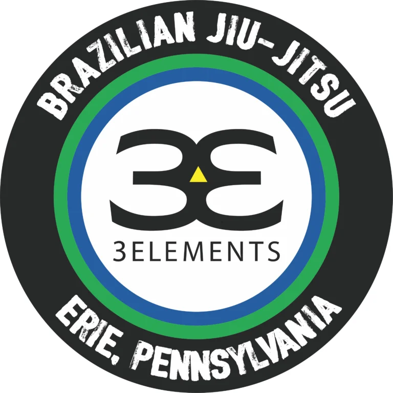 3 Elements BJJ and MMA facility image