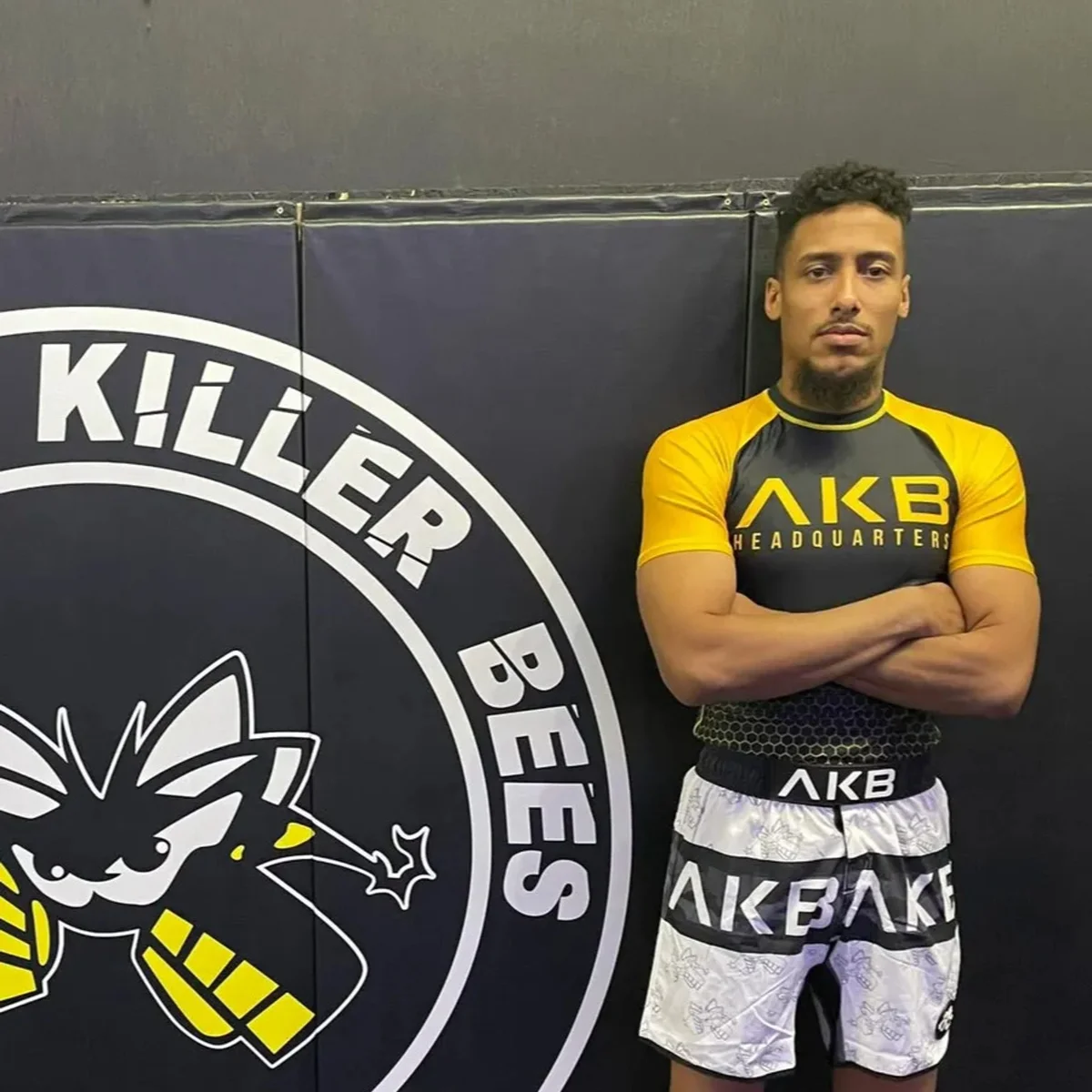 American Killer Bees PA MMA & Brazilian Jiu Jitsu facility image