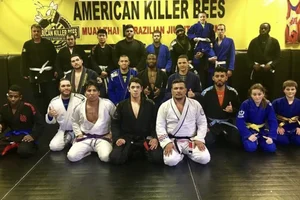 American Killer Bees PA MMA & Brazilian Jiu Jitsu facility image