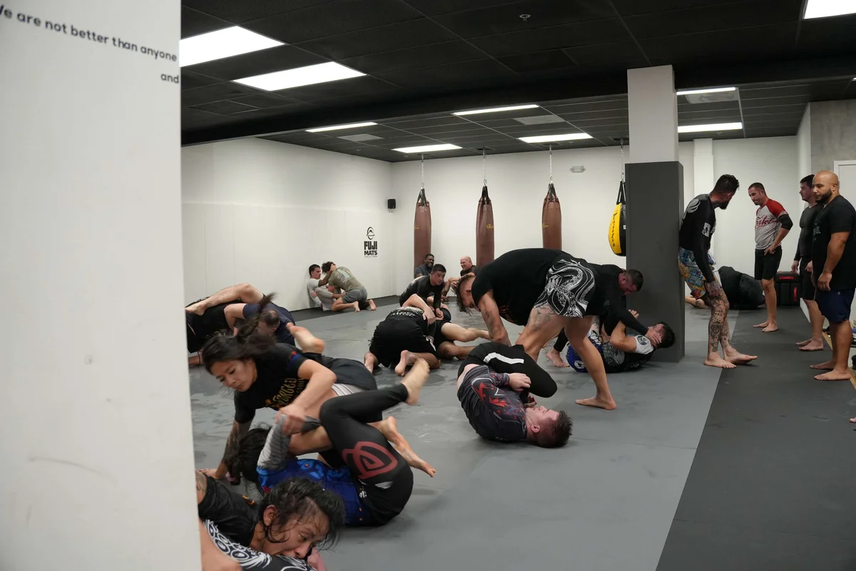 BERZIN BRAZILIAN JIU-JITSU & MUAY THAI facility image