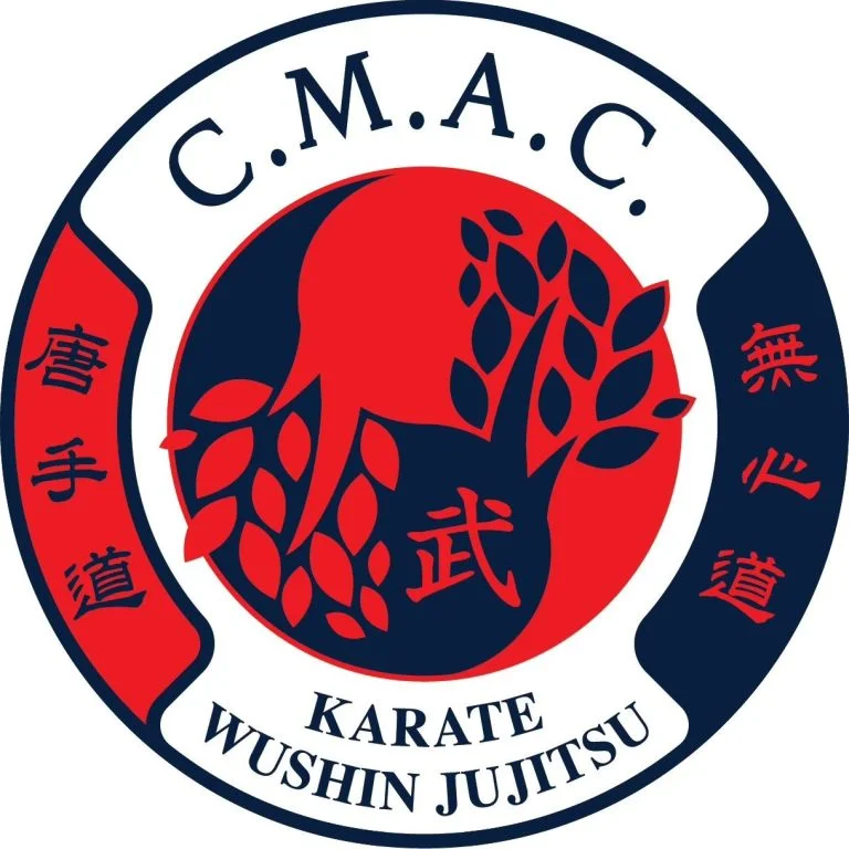 Capalbo Martial Arts Center (Wushin JuJitsu - Haidong Gumdo - Tang So Do) facility image