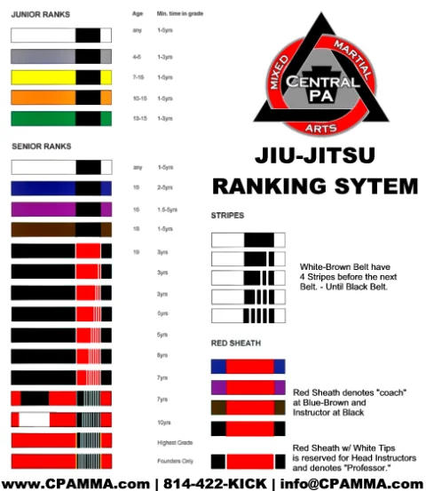 Central PA Mixed Martial Arts (CPAMMA) academy logo