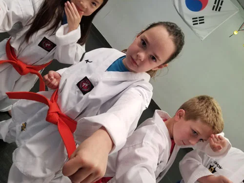 Competitive Edge Martial Arts Training Center facility image