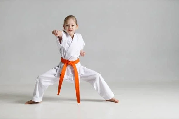 Family Friendly Mixed Martial Arts facility image