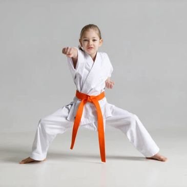 Family Friendly Mixed Martial Arts facility image