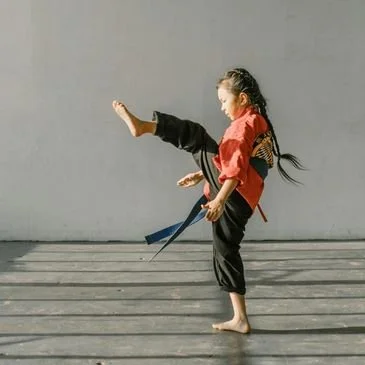 Family Friendly Mixed Martial Arts facility image