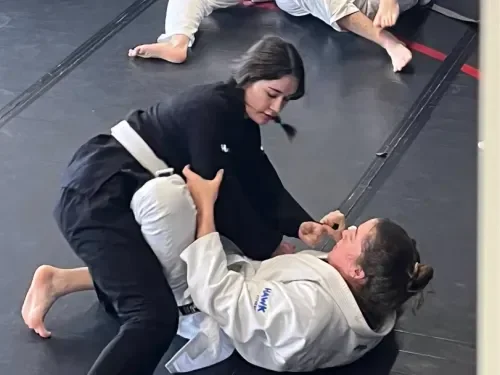 Horsemen Brazilian Jiu Jitsu facility image