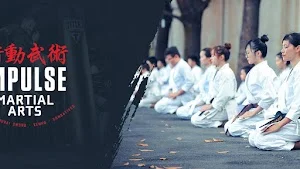 Impulse Martial Arts facility image