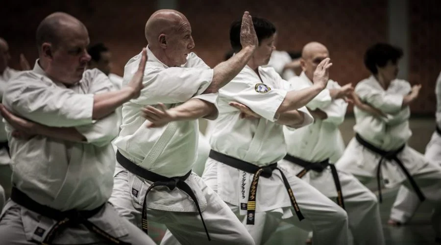 Impulse Martial Arts facility image