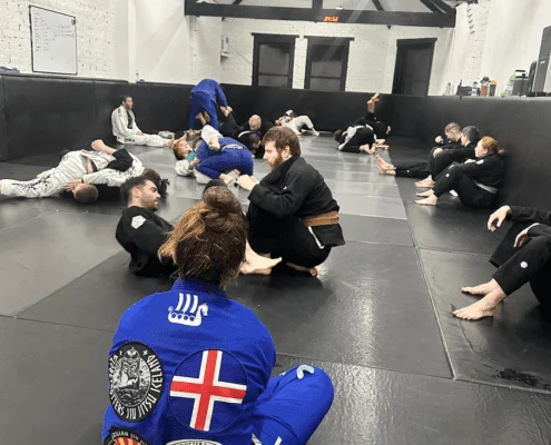 Inverted Gear Academy (affiliated with BJJ Globetrotters) facility image