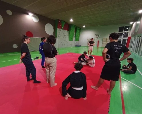 Inverted Gear Academy (affiliated with BJJ Globetrotters) facility image