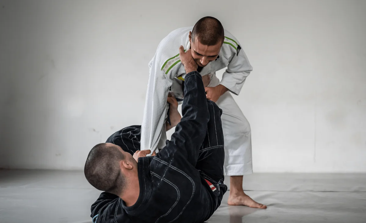 LIONS HEART MIXED MARTIAL ARTS CENTER academy logo