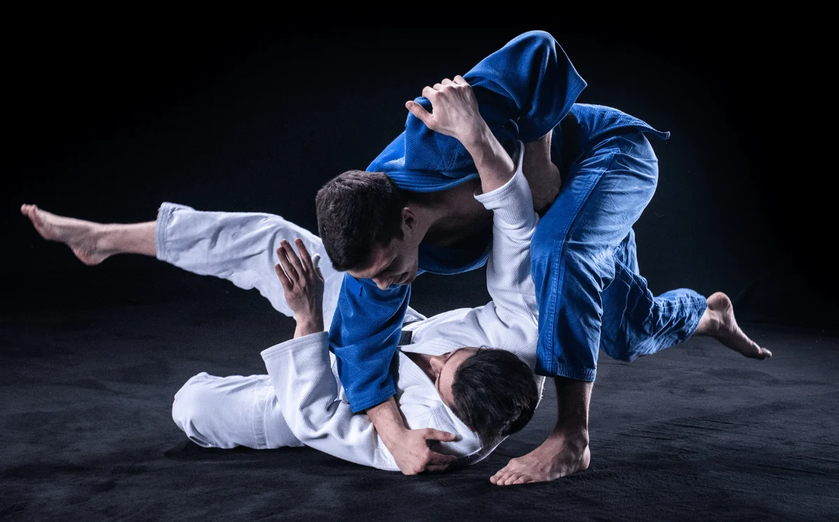 LIONS HEART MIXED MARTIAL ARTS CENTER facility image