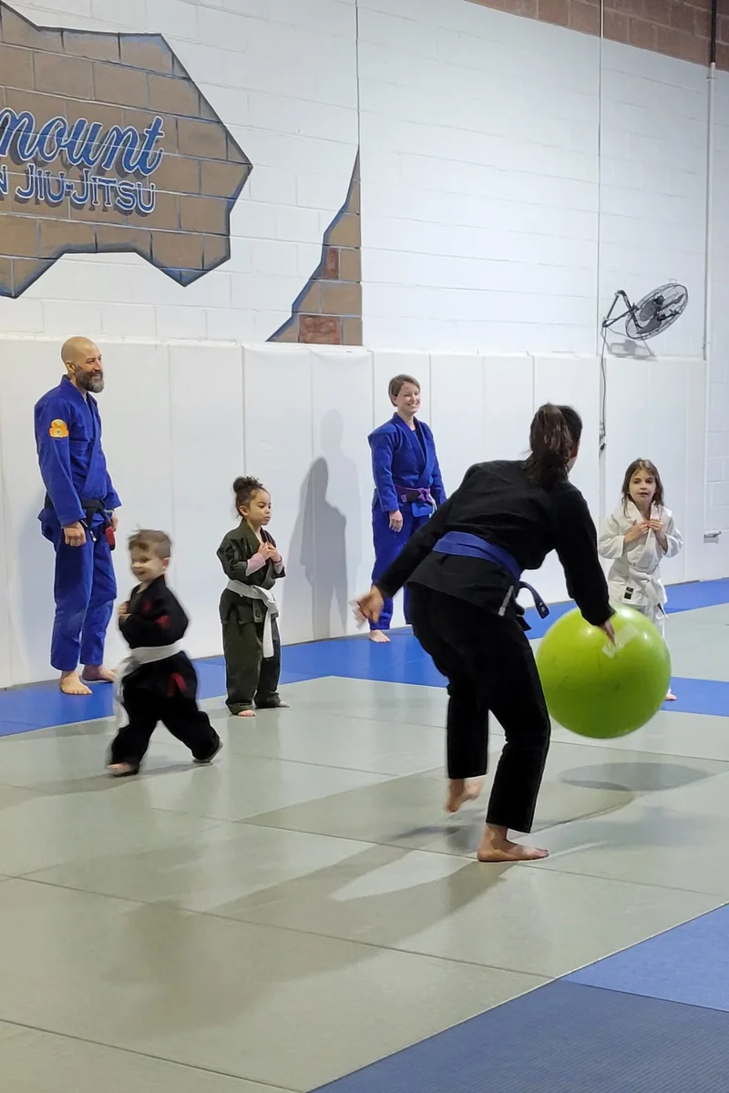 Paramount Brazilian Jiu-Jitsu facility image