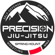 Precision Jiu-Jitsu facility image
