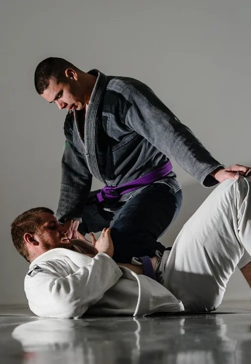 SENTRY JIU-JITSU academy logo