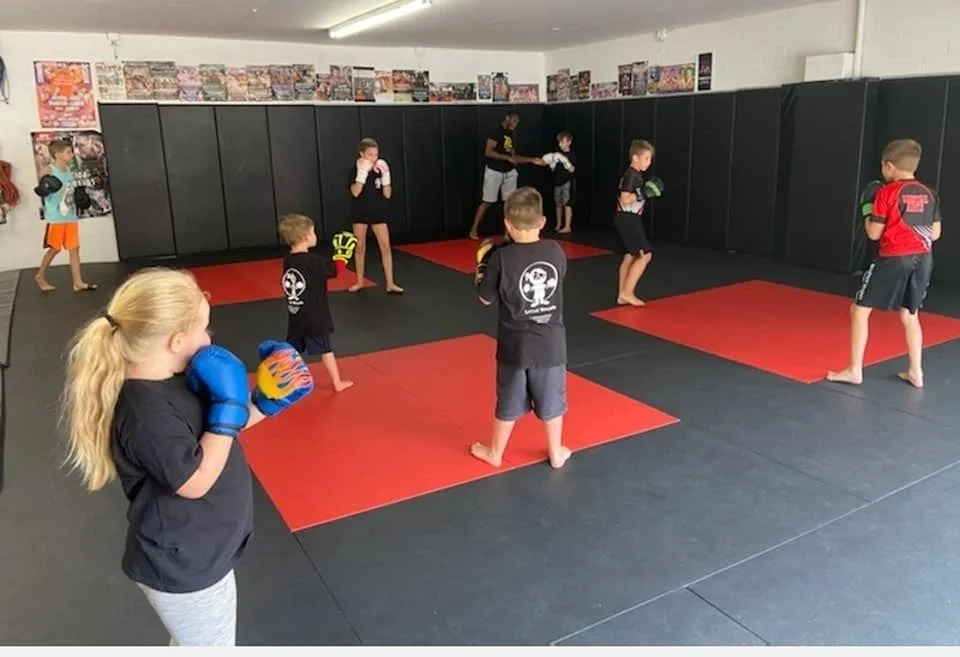 The Academy of Martial Arts & Fitness facility image