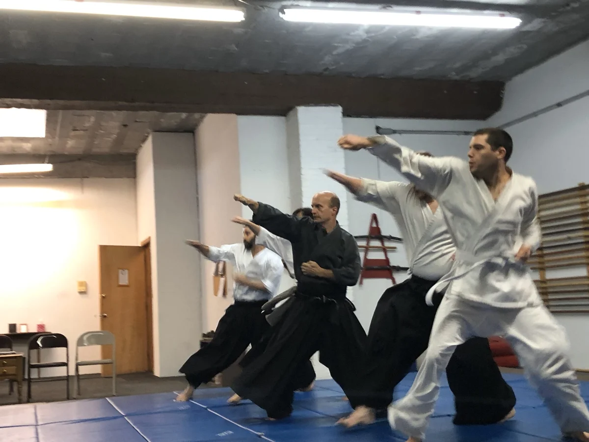 The Traditional Martial Arts Society academy logo