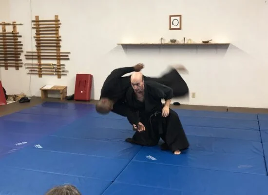 The Traditional Martial Arts Society facility image