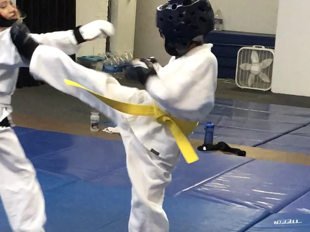 The Traditional Martial Arts Society facility image