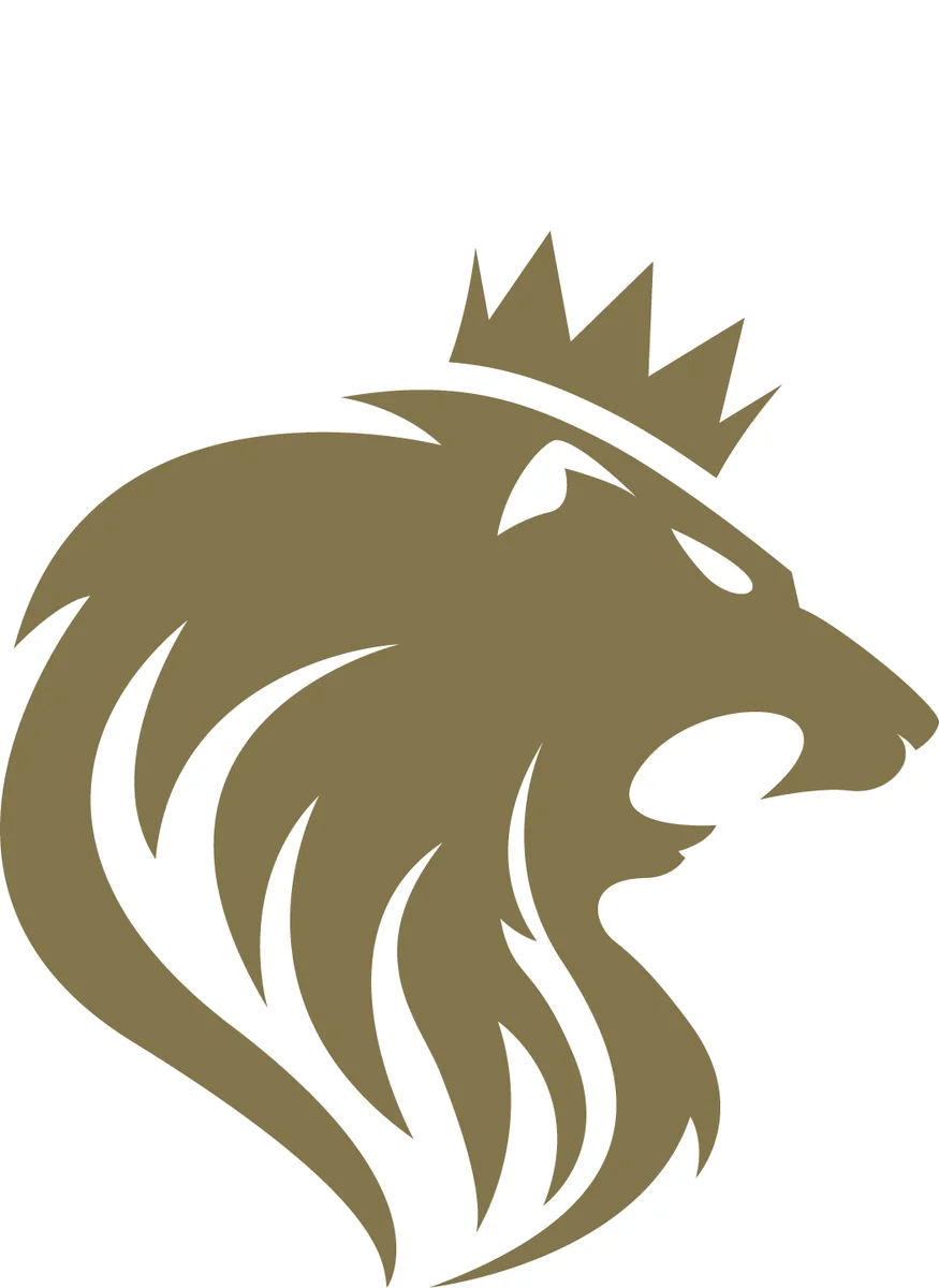 AIKEN JIU JITSU academy logo