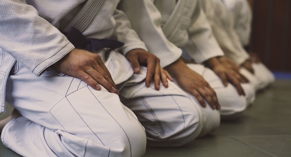 American Jiu-Jitsu Academy facility image