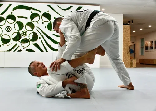 Beyond Jiu Jitsu Lifestyle / House Seven Group, LLC facility image