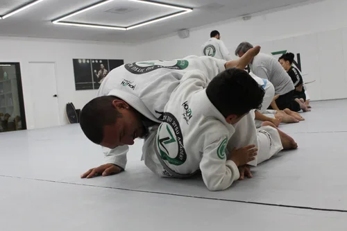Beyond Jiu Jitsu Lifestyle / House Seven Group, LLC facility image