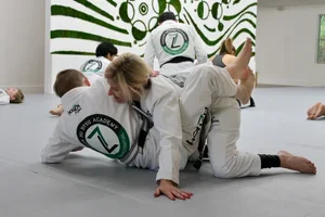 Beyond Jiu Jitsu Lifestyle / House Seven Group, LLC facility image