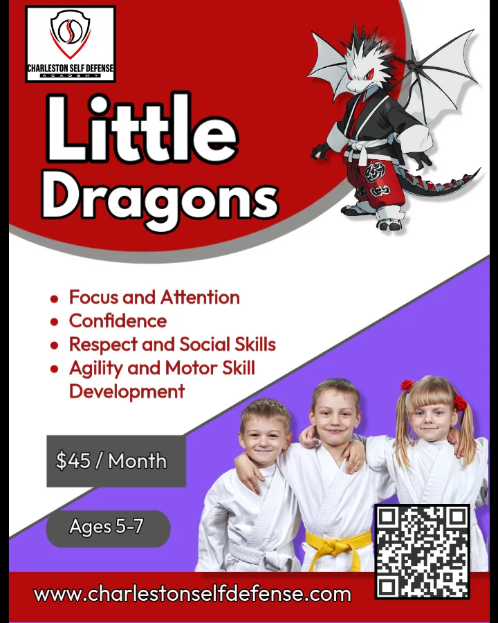 Charleston Self Defense Academy & MMA facility image