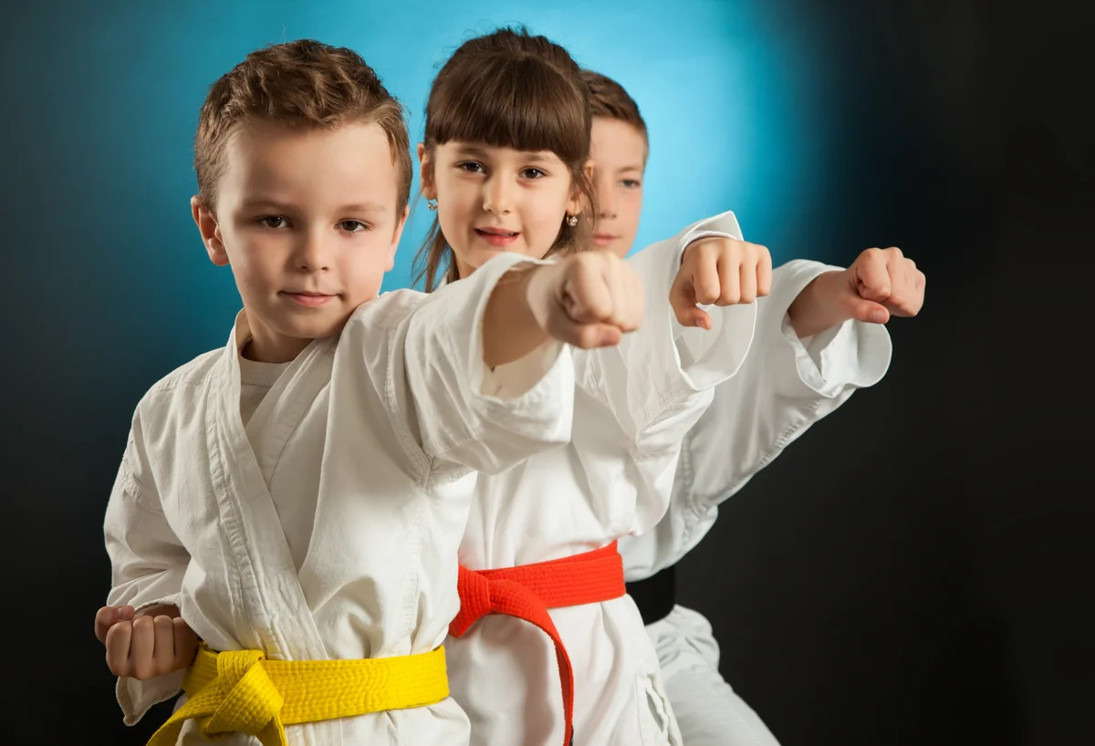 Charleston Self Defense Academy & MMA facility image