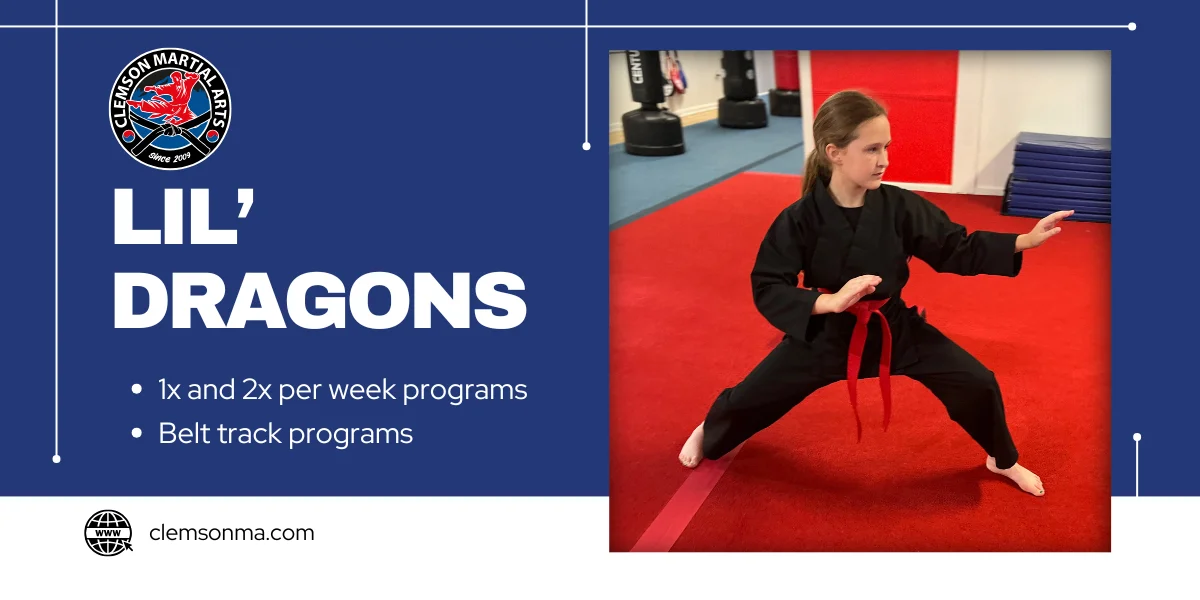 Clemson Martial Arts facility image