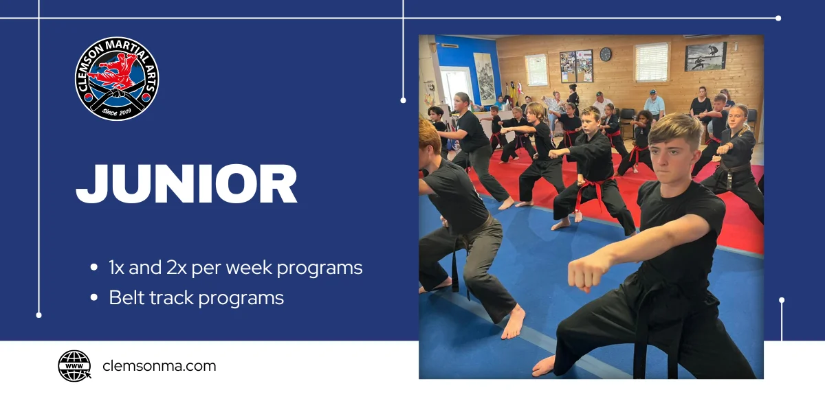 Clemson Martial Arts facility image