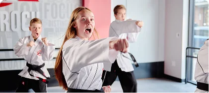 Tiger-Rock Martial Arts of Columbia facility image