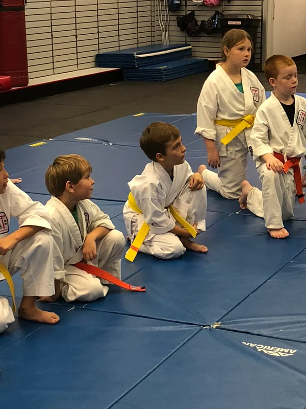 Dynamic Martial Arts of Sioux Falls facility image