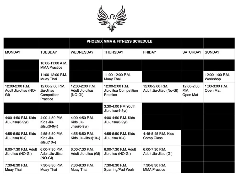 Phoenix MMA & Fitness facility image