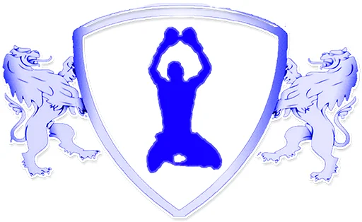 SwiftKick MMA & Boxing facility image