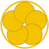 5 Elements Studio - Jiu-Jitsu & Fitness facility image