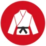 Cox Martial Arts (Cox ATA Tigers) academy logo
