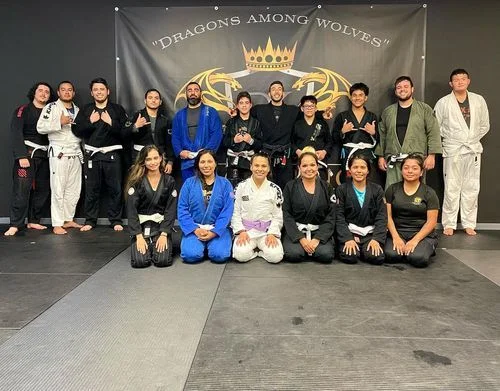Dragon King Brazilian Jiu-Jitsu facility image