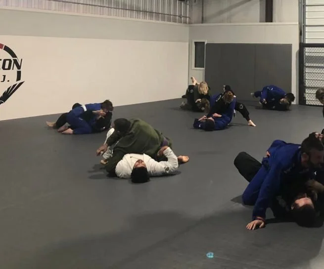 Falcon BJJ facility image